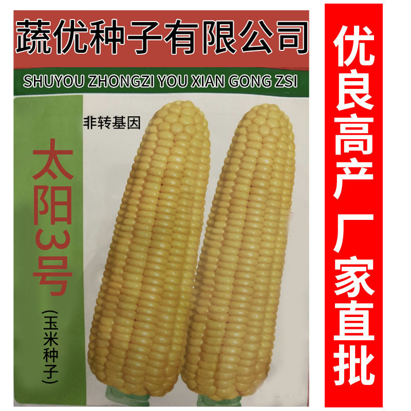 批发玉米种子进口泰系超甜玉米种子太阳3号400克高产玉米基地种子