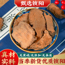 批发现货 新疆锁阳片 锁阳个 泡酒锁阳 肉苁蓉 四宝泡酒料 风流果