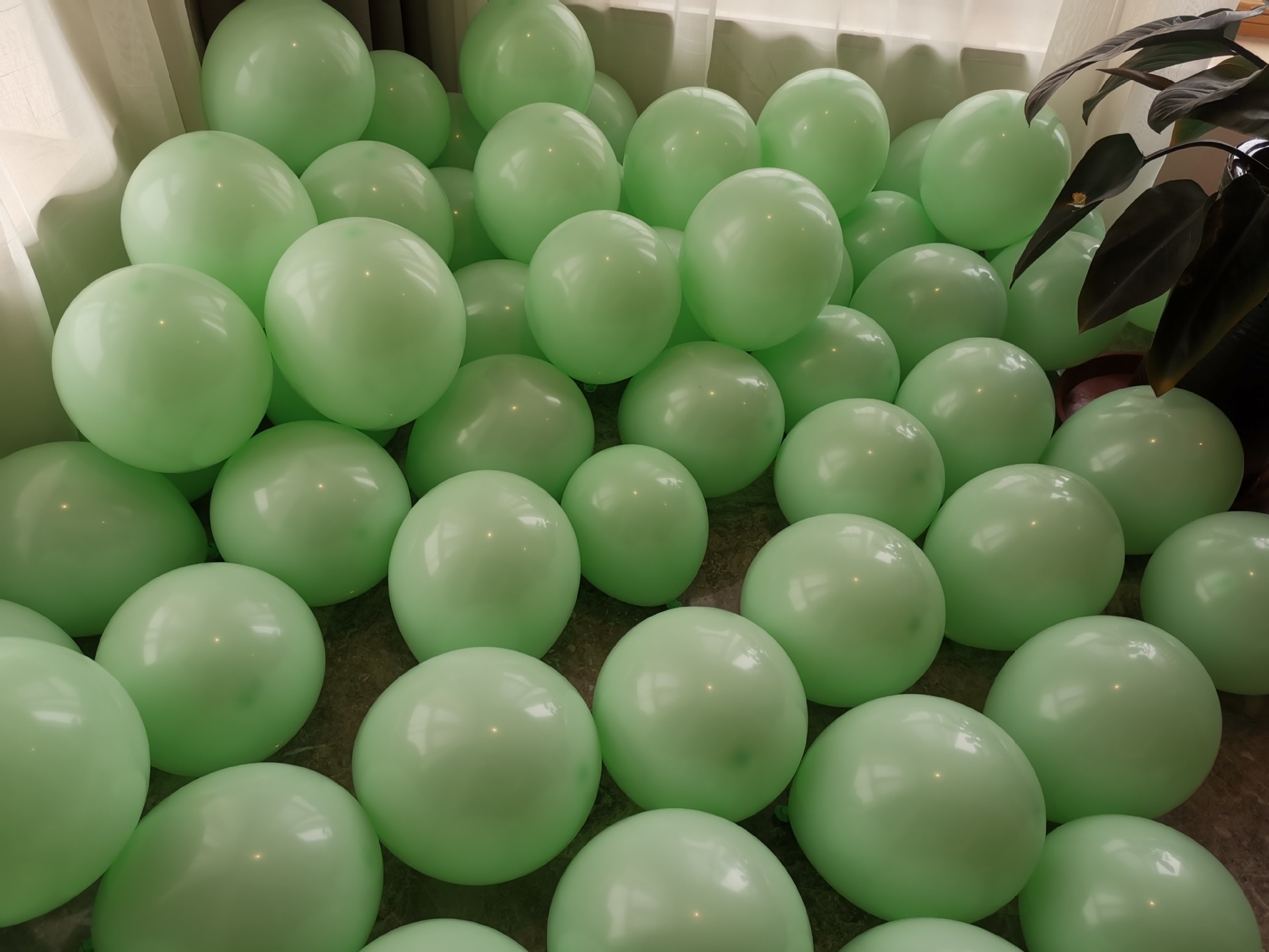 2克批发 joooy婚庆生日派对装饰圆形马卡龙气球