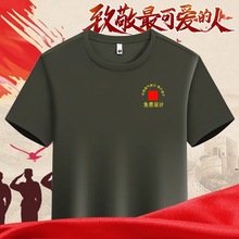 八一战友聚会T恤纪念衫印字Polo衫印logo短袖男退伍老兵活动绣字