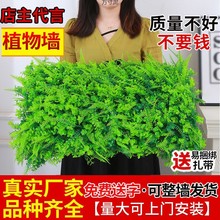 绿植墙仿真植物墙皮装饰室内背景花墙面绿色壁挂塑料假坪源头工厂