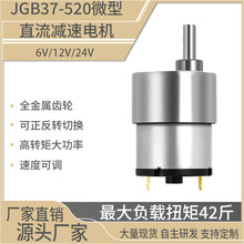 37-520直流减速电机微型减速电机齿轮减速电机小型减速电机齿轮箱