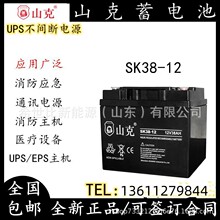 山克蓄电池SK38-12网络间交换设备及服务器设备电池12V38AH直流屏