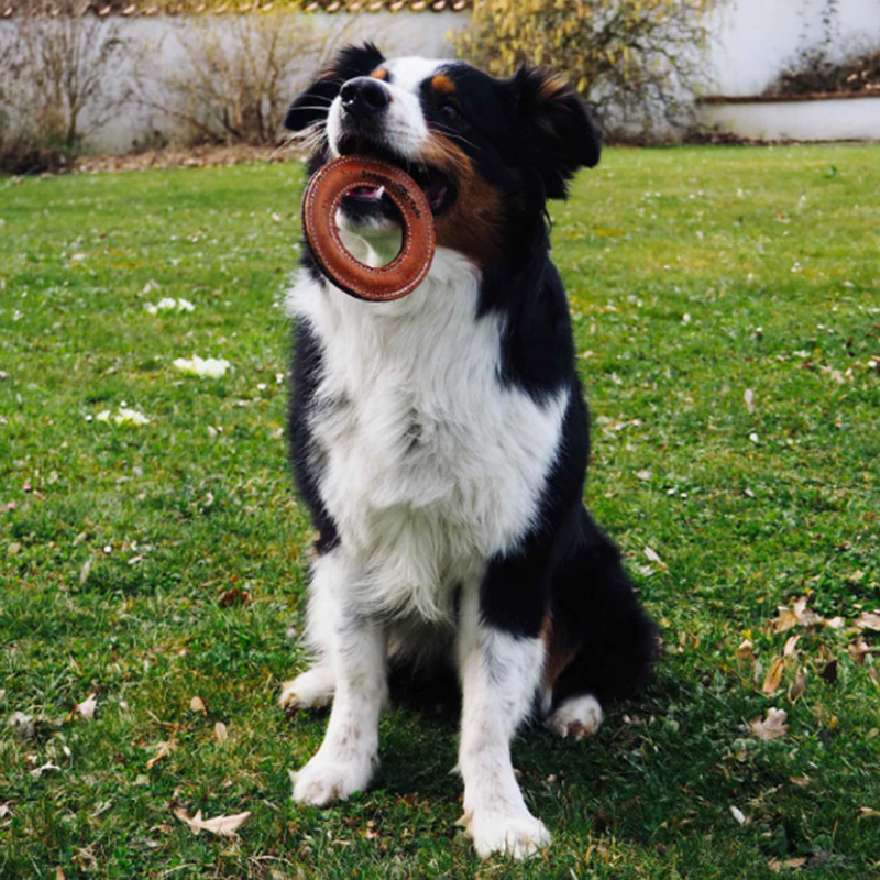 跨境pu皮狗狗飞盘 户外训犬练习圆形飞碟 宠物狗玩具耐咬玩具