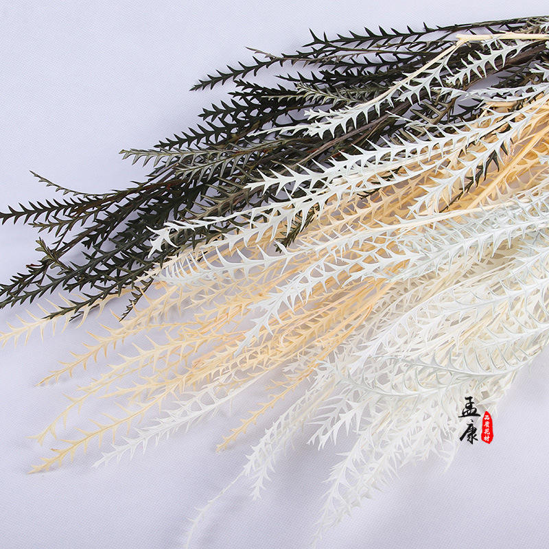 永生花剑齿叶干花花束羊齿叶真花保鲜花风干客厅民宿干花装饰摆件