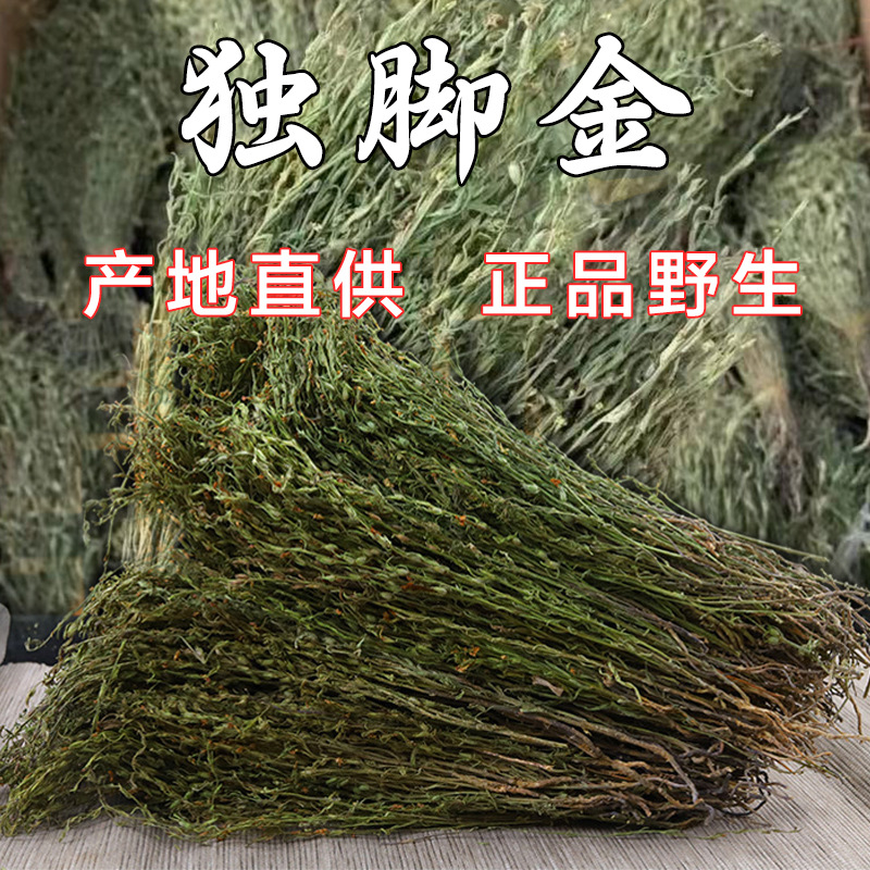 独脚金 疳积草当季新货独角金中药材 小儿汤料煲汤孩儿草产地货源