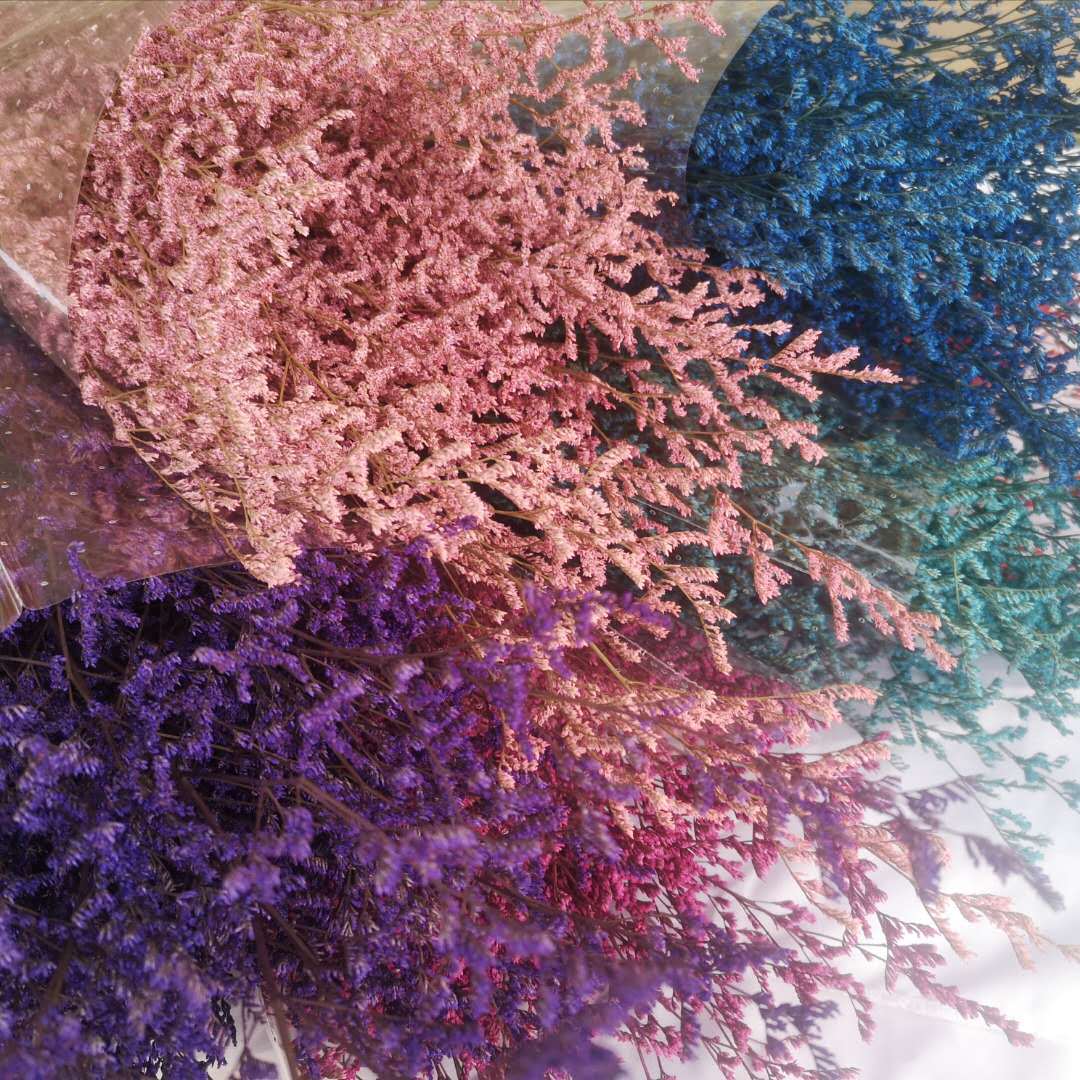 云南【保鲜花永生花情人草】干花花束礼盒真花家居装饰配材