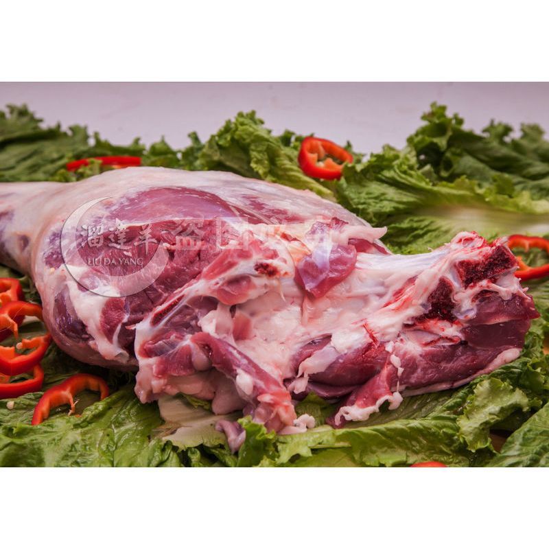 青海羊腿 新鲜羊肉生羊肉整只带骨现杀烧烤食材