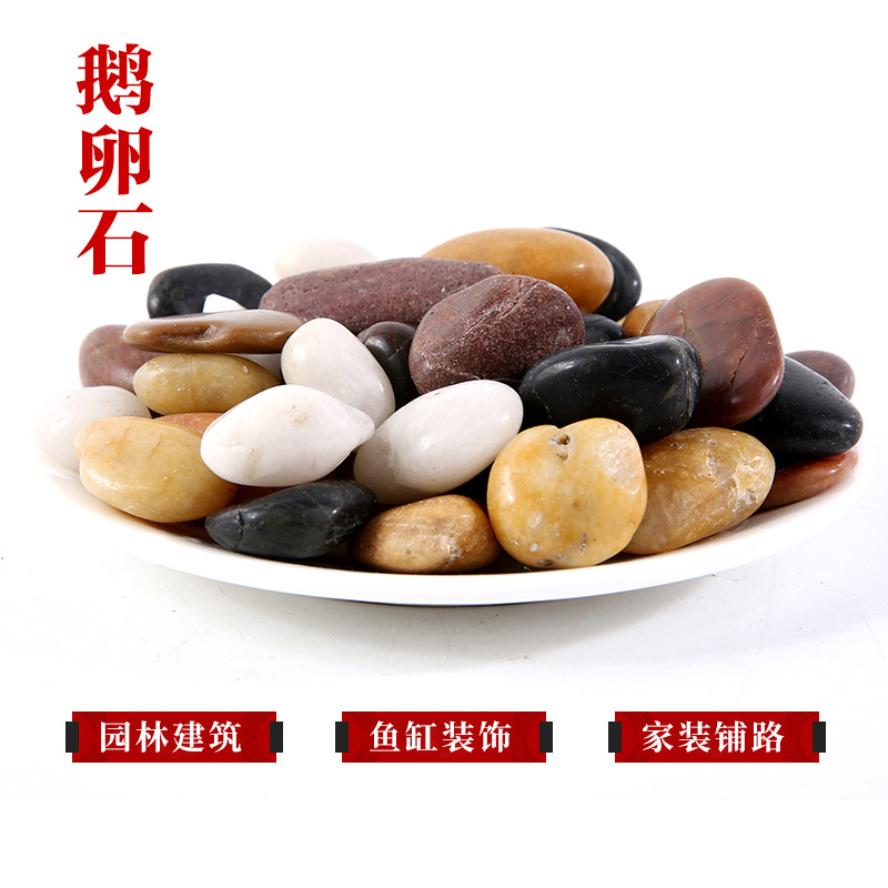 鹅卵石厂家天然白石子园林造景铺地五彩石鱼缸装饰七彩雨花石