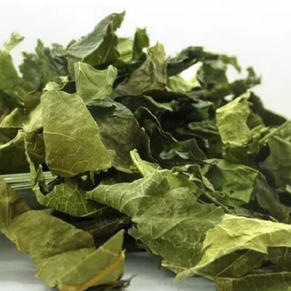 桑叶霜后桑叶新货无硫桑叶新鲜桑叶泡茶滋规格包邮批发包-阿里巴巴