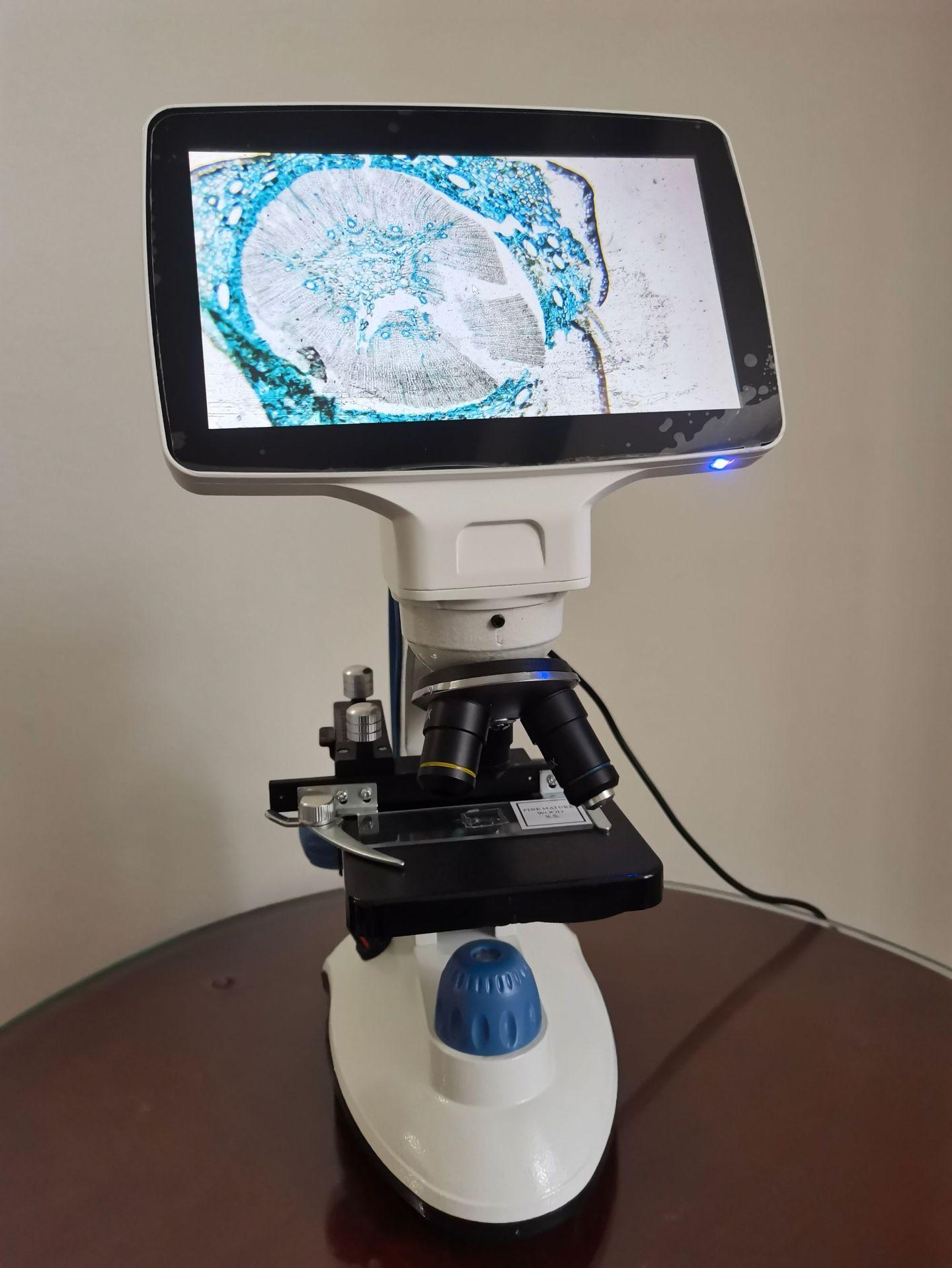 上海源头厂家供应儿童显示屏视频显微镜1000倍