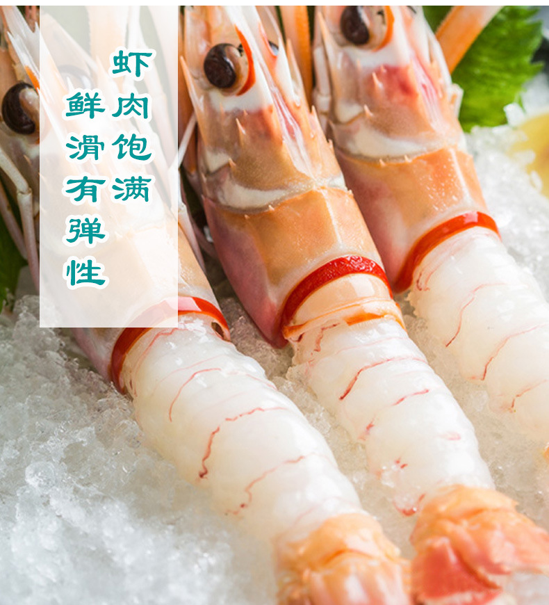 新西兰进口鳌虾斯干比小龙虾1号2号3号scampi盒装高品质日料刺身