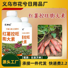红薯控旺膨大素地下根茎猛长专用彭大素土豆地瓜种红薯增产专用肥