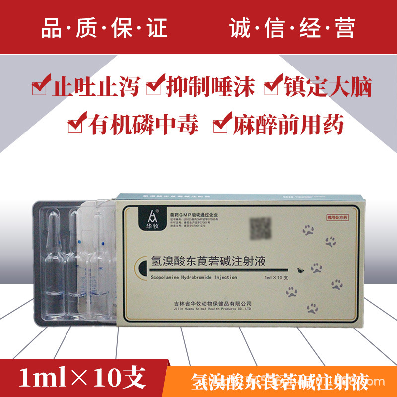 氢溴酸东莨菪碱注射液抗胆碱药兴奋不安平滑肌痉挛止吐止泻抑