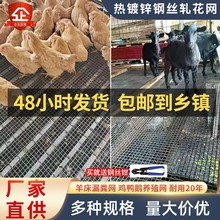 镀锌轧花网铁丝网围栏鸡鸭鹅养殖漏粪网不锈钢过滤筛网钢丝网批发