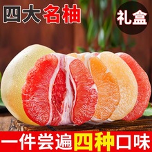 【四大名柚】红肉蜜柚福建平和柚子薄皮红心白心三红礼盒柚子批发