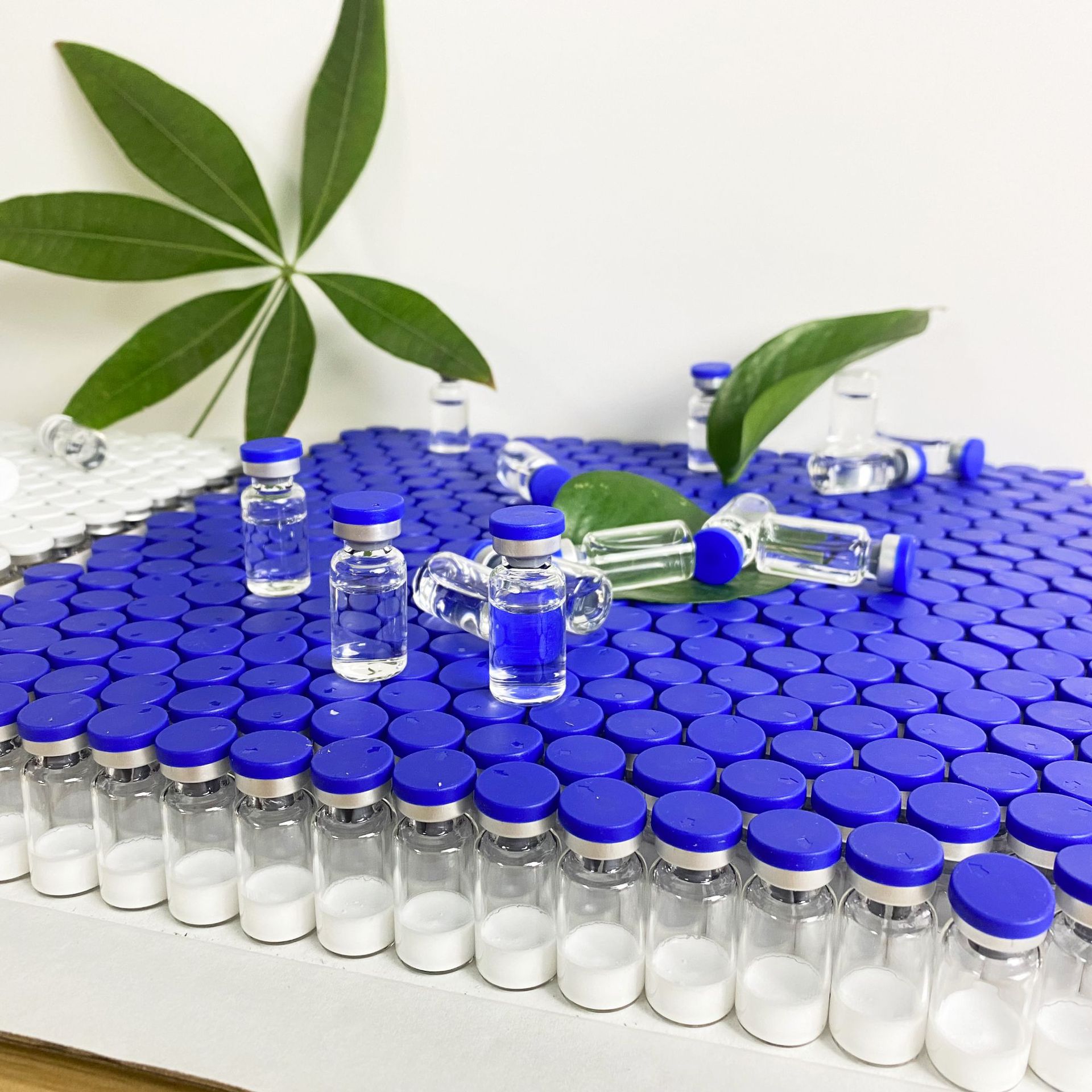 玻色因冻干粉裸瓶多肽抗皱淡化细纹保湿补水紧致抗初老冻干粉批发