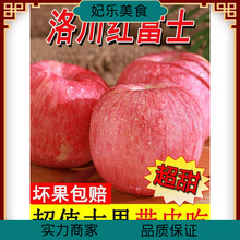 苹果水果新鲜陕西洛川红富士整箱延安5斤糖心当季脆甜10