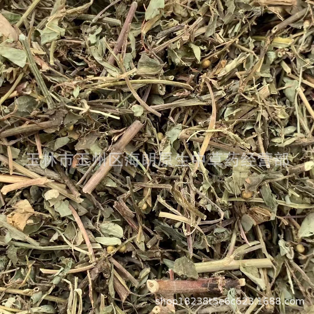 【包邮】叶下珠珍珠草珠仔草龙珠草 每件500克 二十四小时发货