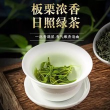日照绿茶2023新茶散装板栗香炒青高山农家茶叶500g浓香型