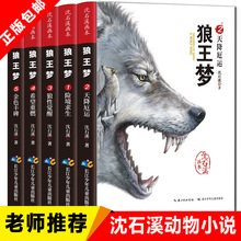 狼王梦正版全套5册沈石溪三四五六年级小学生课外阅读书籍