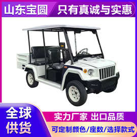 4-6-8座电动巡逻车四轮车小区物业保安街道校园厂区电瓶巡查车