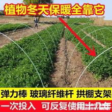 搭棚架子菜园拱棚骨架农用小棚支架种菜架杆家用菜棚种菜架杆园艺