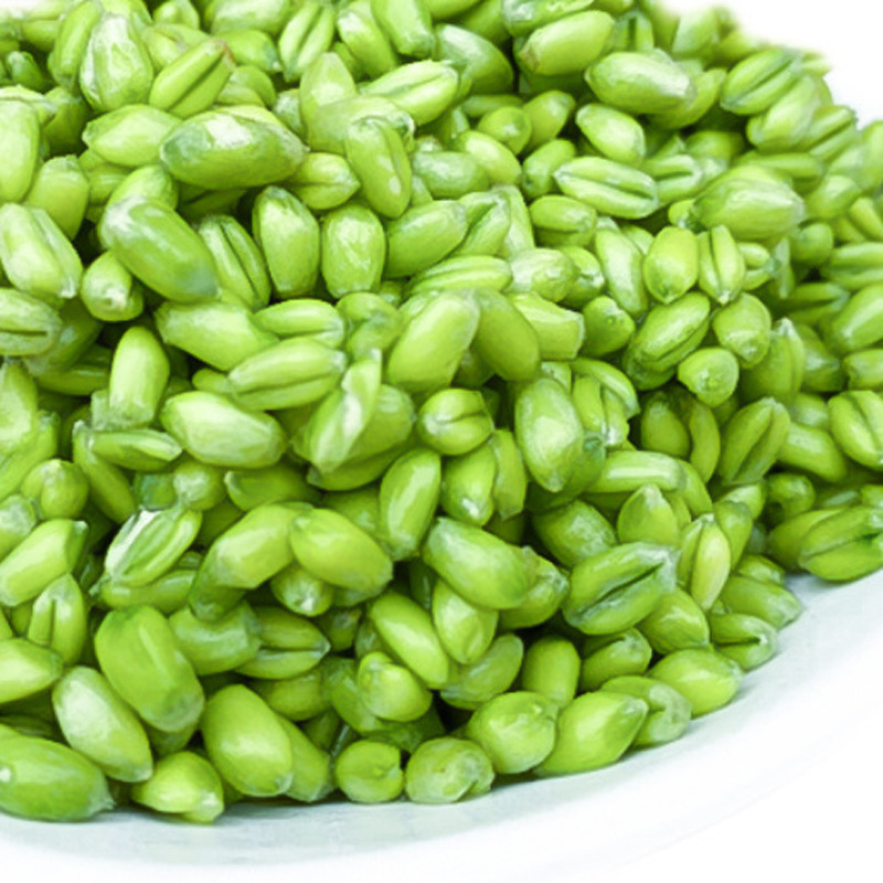 4斤包邮新鲜青麦仁速冻青麦粒青稞米脱皮青小麦五谷杂粮煮粥煲粥