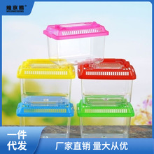 透明塑料乌龟盒仓鼠爬虫宠物饲养盒大中小号手提生态金鱼缸运输盒