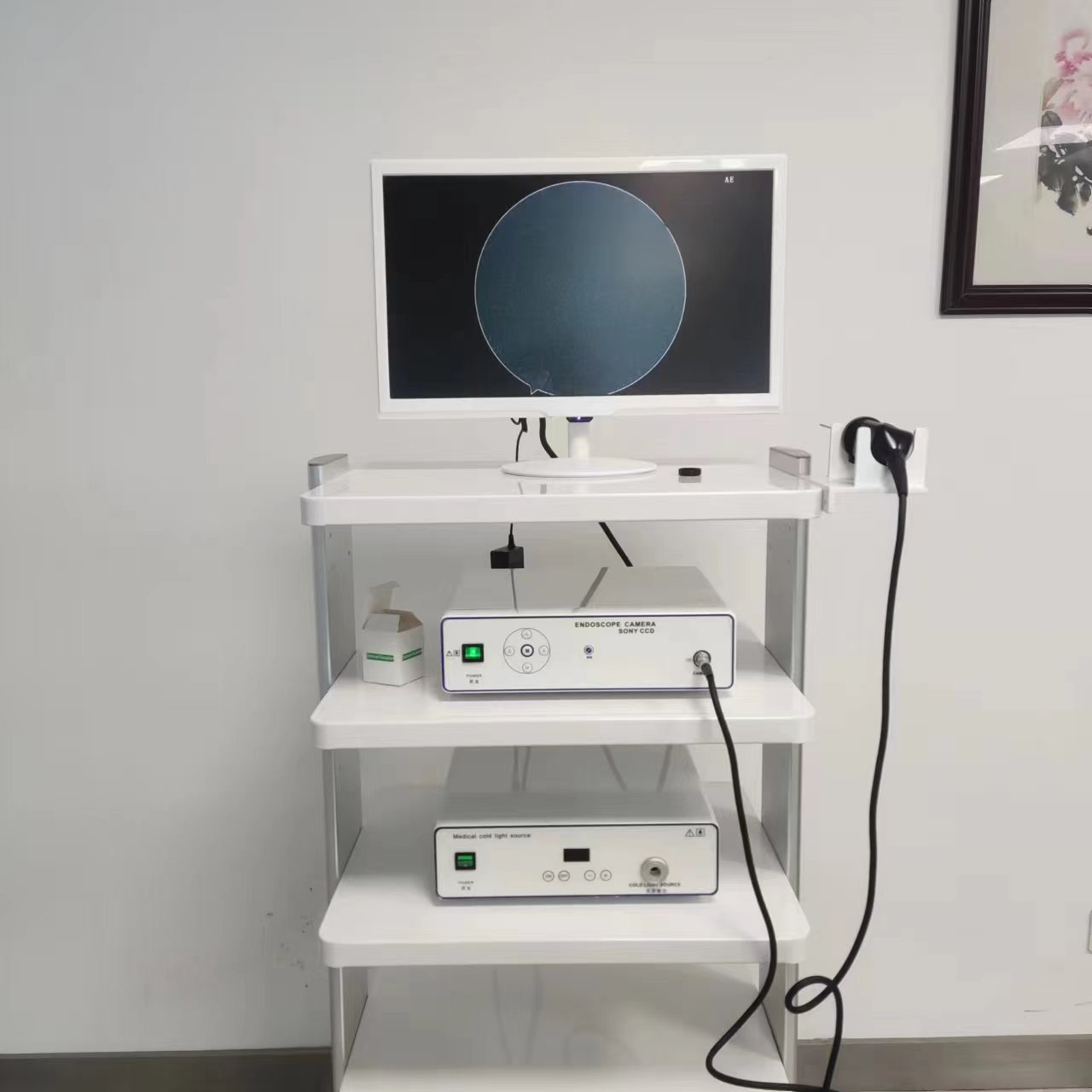 耳鼻喉内窥镜影像系统 鼻炎检查成像系统 鼻内镜耳内窥镜系统