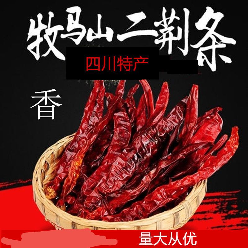 四川特产 牧马山新产 二荆条 干辣椒 锅底料油泼辣子辣椒面