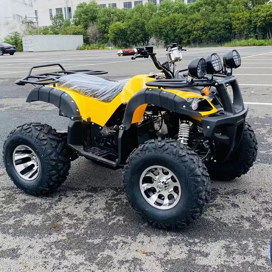 钢管四轮沙滩车 无极变速漂移越野沙滩车 全地形车配置