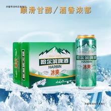 哈尔滨啤酒 冰爽500ml毫升x12听 易拉罐装整箱包邮哈啤