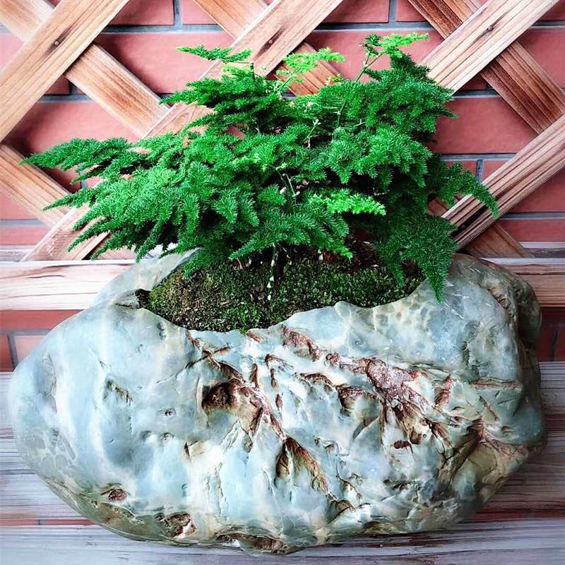 天然九龙壁真石头花盆华安玉菖蒲植物多肉鹅卵石复古盆景天一石业