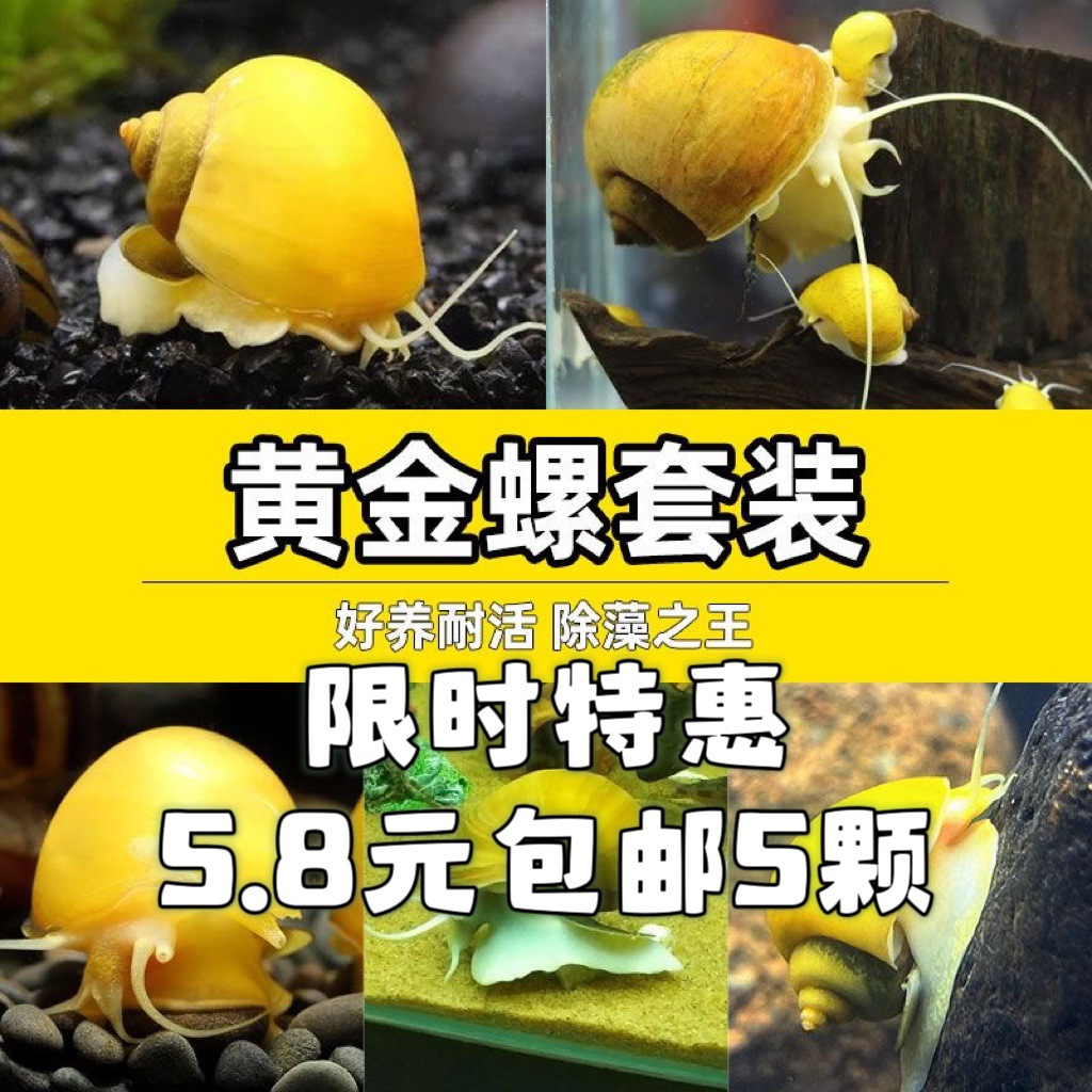 评价颜色立即订购加入进货单买家服务支付方式跨境属性跨境包裹重量