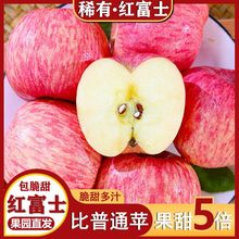 【超脆苹果】烟台栖霞条纹红富士苹果新鲜脆甜礼盒水果整箱批发