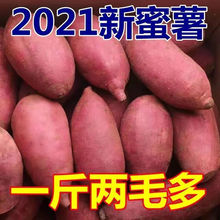 【超实惠】农家自种新鲜红薯现挖地瓜黄沙地板栗蜜薯批发软糯香甜