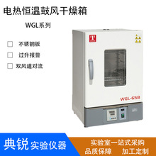 天津泰斯特 WGL-65B WGL-125B电热恒温鼓风干燥箱/烘箱300度 立式