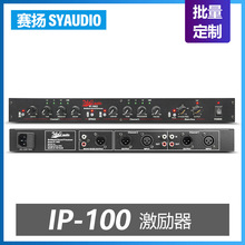 IP100 麦克风话筒激励器 人声乐器优化器专业舞台会议室音响设备