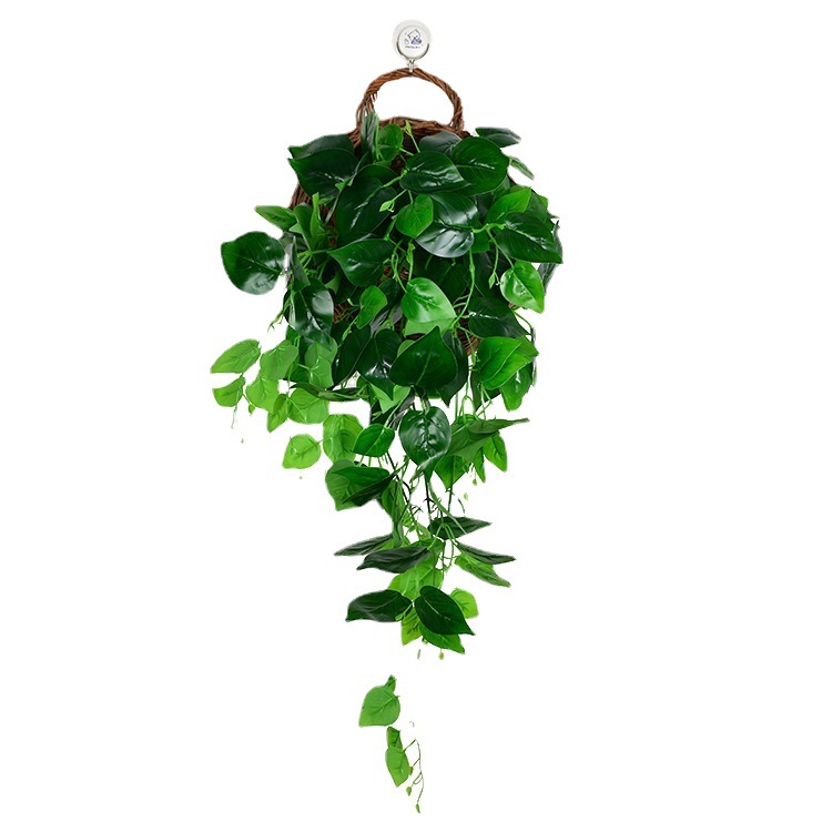 Artificial Green Radish Begonia Wall Hanging Fake Green Leaf Hanging Orchid Decoration Wall Hanging Rattan Leaf Climbing Tiger Indoor Fake Flower Rattan