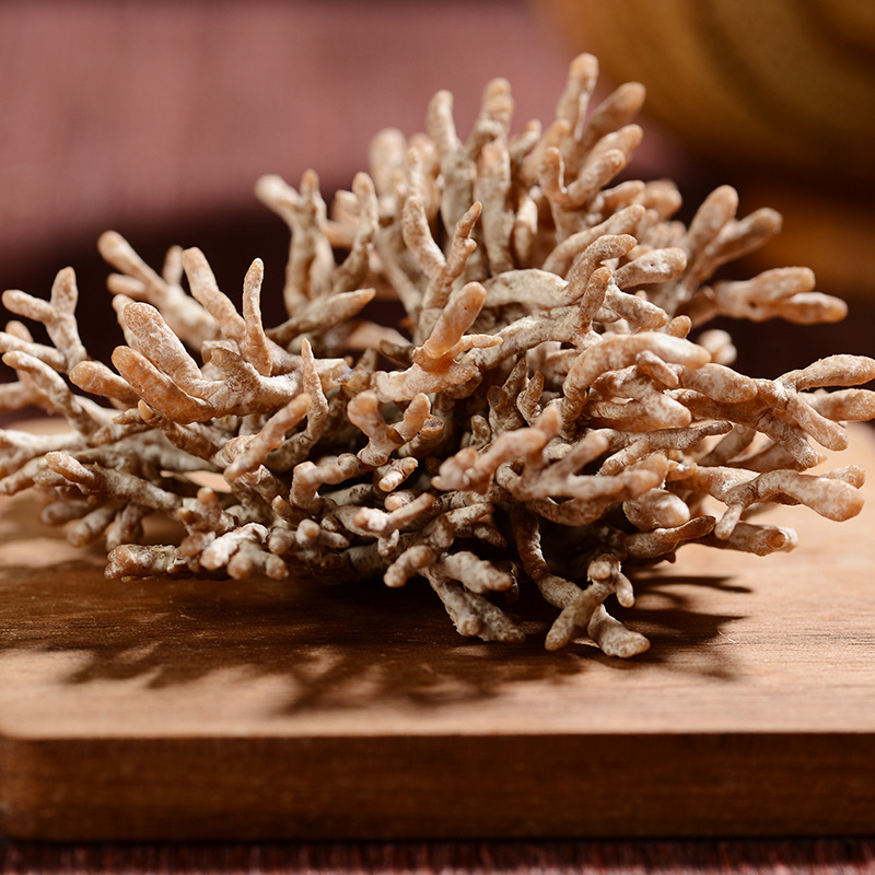 特产新鲜龙爪菇猫爪菇新鲜珊瑚菌新鲜菌菇食材鲜货龙爪菇现货批发