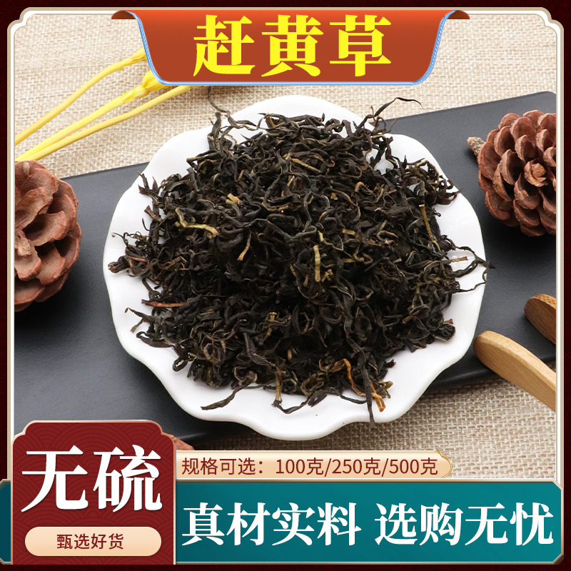 赶黄草中药材四川古蔺赶黄草叶杆泡水丈亭草新货天然无硫包邮500g