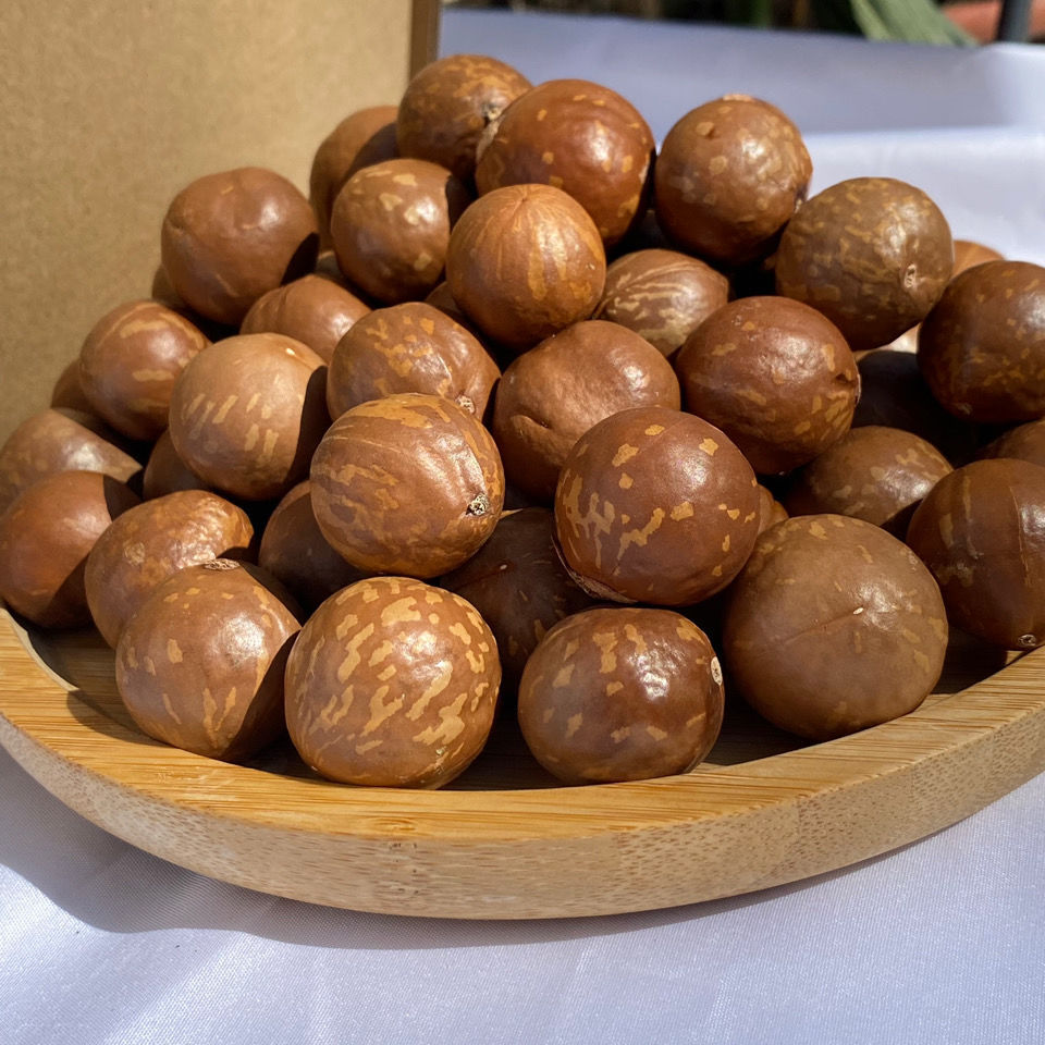 云南澳洲坚果 原味未开口夏威夷果奶香 孕妇老人小孩零食批发干货