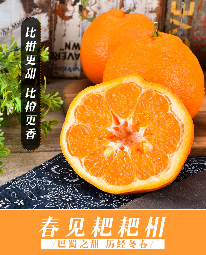 四川春见耙耙柑新鲜当季大果正宗非10斤桔子杷杷柑粑粑柑量大价优