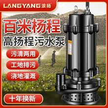 高扬程污水泵220V大流量抽粪泥浆抽水泵农用灌溉排污潜水泵380V