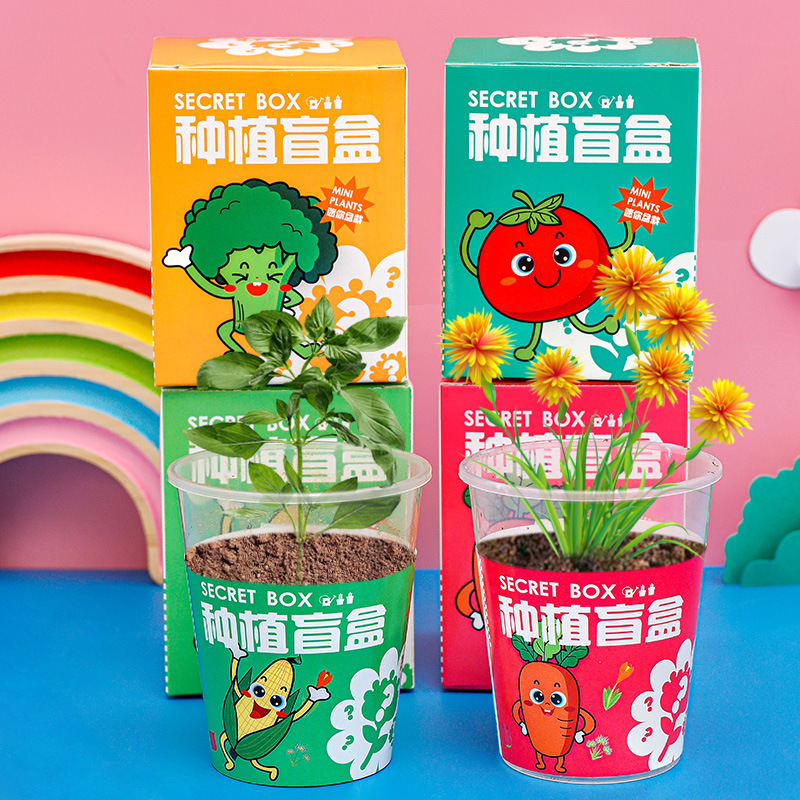 Kindergarten Planting Pot Blind Box Children's Plant Flower Seed Small Gift Creative Desktop Decoration Small Pot