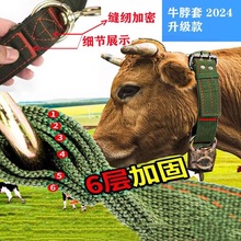 专用加粗拴牛羊专用绳子脖套拉牛龙头龙套羊牛缰绳子套嘴用品大全