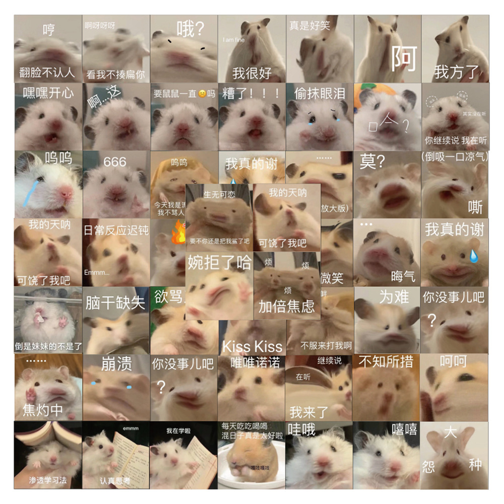 62张可爱仓鼠搞笑表情包贴纸手机壳手账本水杯电脑装饰防水贴画
