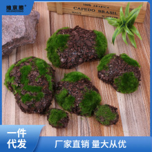 仿真青苔石头 多形状植毛青苔块 仿真毛石头 假花 仿真绿色植物