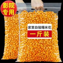 玉米粒2斤球形爆米花专用爆米花家用原料非净重干玉米毛重斤工厂